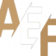 Airport Escort Frankfurt Logo