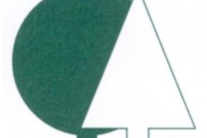 Baumdienste Hamburg Logo